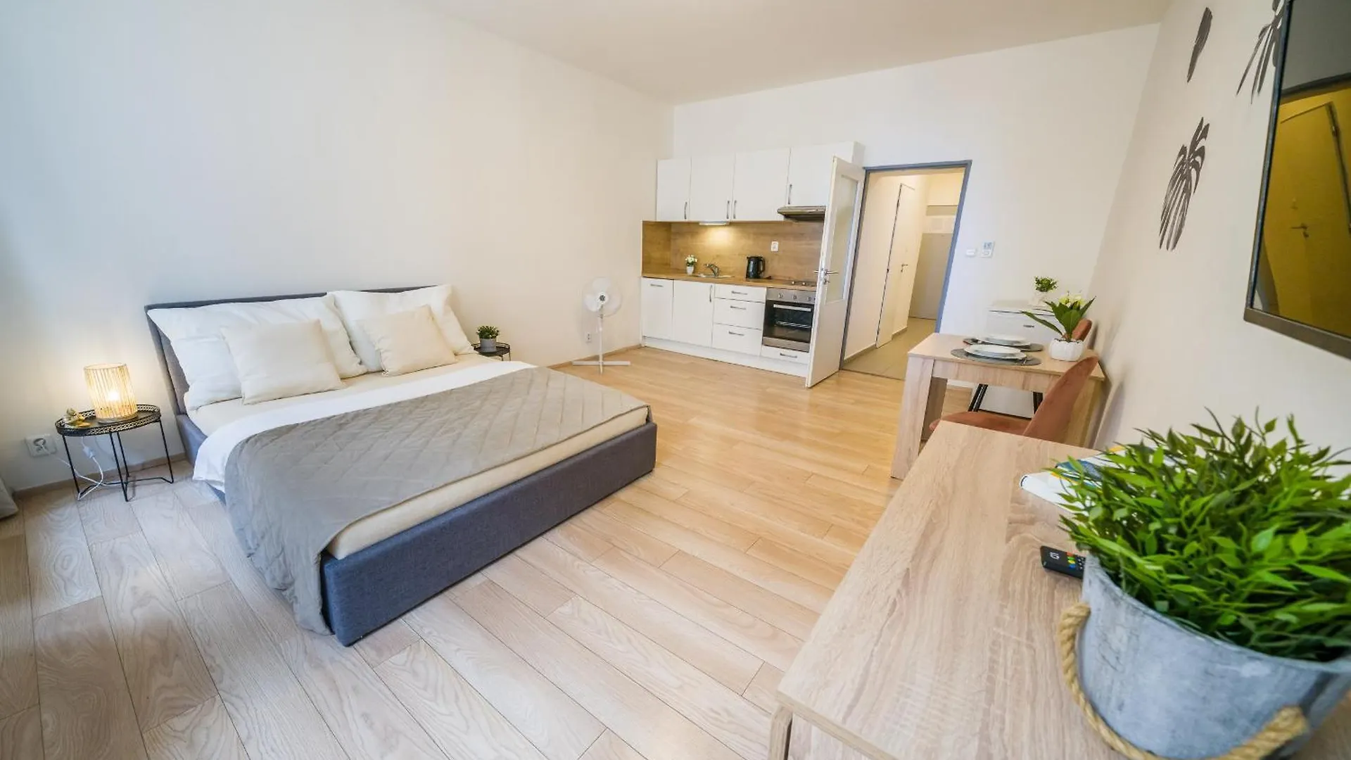 Apartia Vlhka 26, Brno-Center Apartment Brno